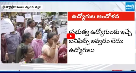 Village Secretariat Employees Protest Against Chandrababu Govt