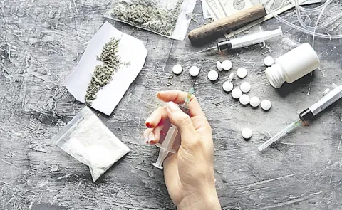 Maha police seize drugs worth Rs 12000 cr in Telangana