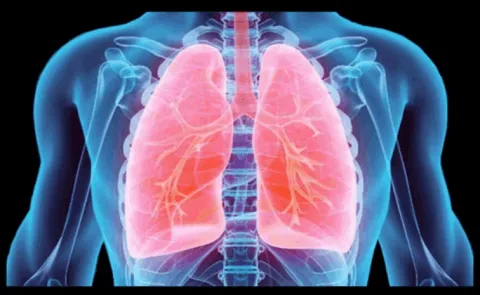 Understanding the multifaceted impact of air pollution on health impacts