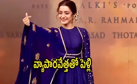 Trisha Krishnan will wedding plan with businessman