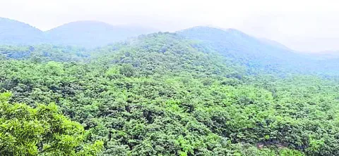 ఇంటి