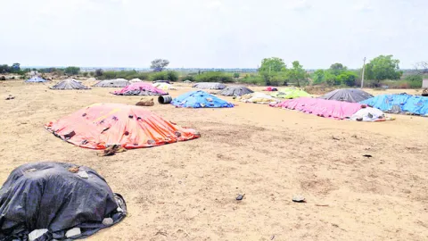 టార్పాలిన్లు అందేనా..