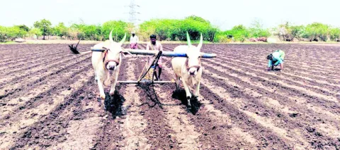 విత్తుకోని ఆశలు.. పొలాలు బీళ్లు!