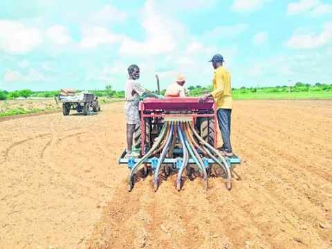 పల్లి సాగు అంతంతే..