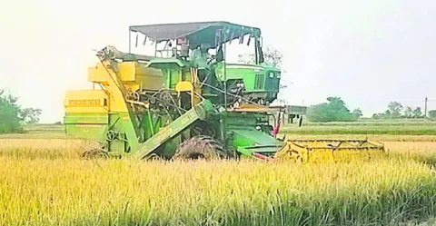 ధాన్యం కొనుగోళ్లకు సర్వం సిద్ధం