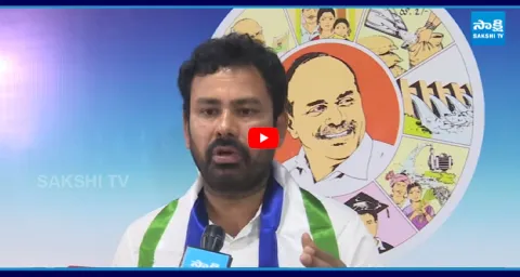 YSRCP Leader KK Raju Satirical Comments On Chandrababu And TDP Leaders