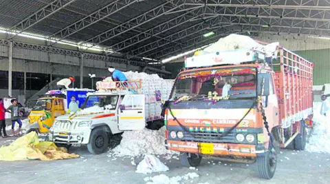 పత్తి కొనుగోళ్లు ఆలస్యం