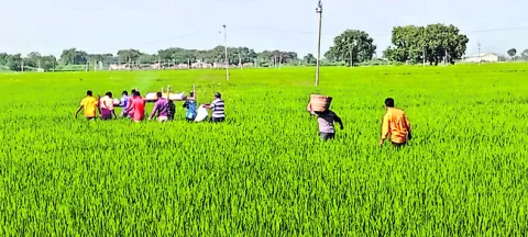 దళితుల శ్మశాన వాటికకు దారేది?