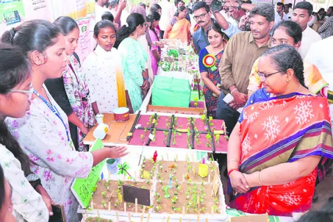 సేంద్రియం సాగుతోనే ఆరోగ్యం