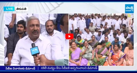 Peddireddy Ramachandra Reddy Slams Chandrababu Govt