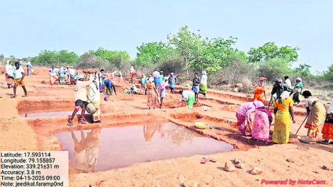 కొత్తగా ఉపాధి
