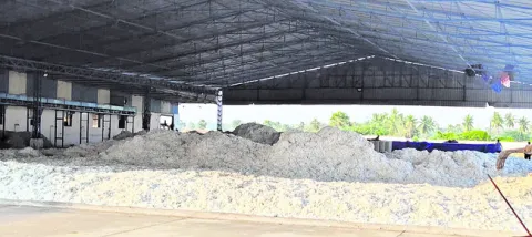 పత్తి రైతుకు దక్కని మద్దతు