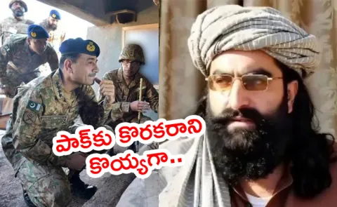 Who is Noor Wali Mehsud New Trouble Maker For Pak From Afghanistan