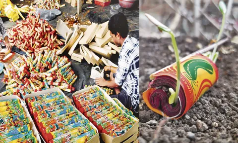 Diwali 2025: Green Crackers Hit Market Experts Warn Of Fake