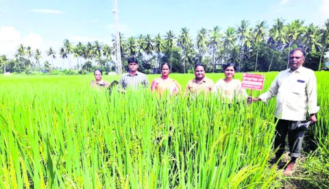 జిల్లాలో శాస్త్రవేత్తల బృందం పర్యటన