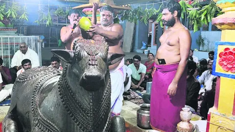 నందీశ్వరుడికి పంచామృతాభిషేకం