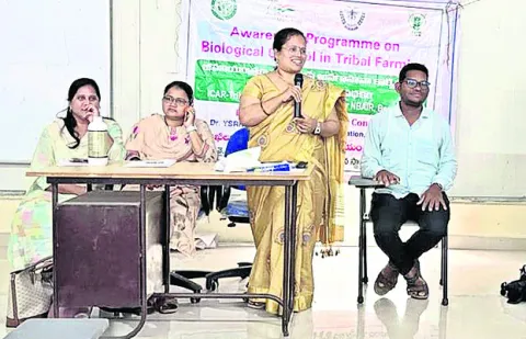 సేంద్రియ సాగుతో అధిక దిగుబడులు