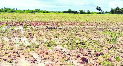 చెరబట