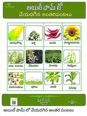 అరచేతిలో సమగ్ర సమాచారం