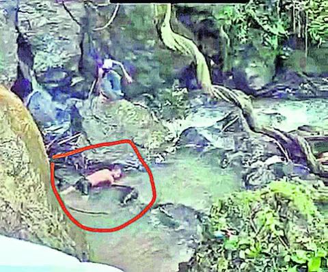 సెల్ఫీ సరదా..