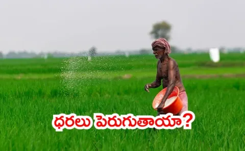 China Suspends Fertilizer Exports Again how effects india