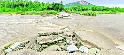 వేలూరు, తిరువణ్ణామలైలో భారీ వర్షాలు