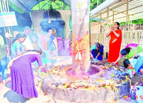 శ్రీవారి క్షేత్రంలో కార్తీక సందడి