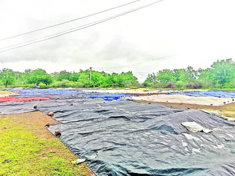 వర్షప