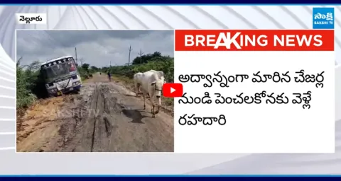 AP RTC Bus Stuck On Road