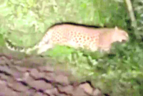 ఆదర్శ విద్యార్థుల ప్రతిభ