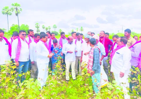 పాలకుల నిర్లక్ష్యం.. రైతులకు శాపం
