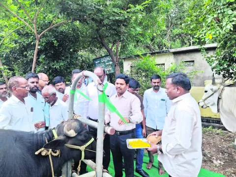 గాలికుంటు రహిత రాష్ట్రంగా తీర్చిదిద్దేందుకు కృషి