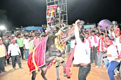 సదర్ సంబురం