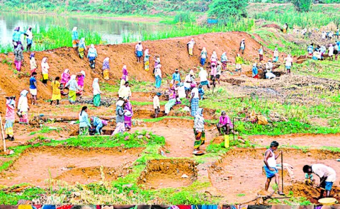 Corruption has increased in the implementation of the employment guarantee scheme in the state