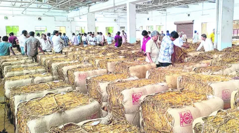 గుండెల్లో గుబేళ్లు