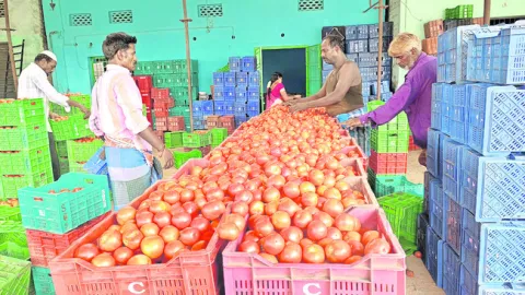 టమాటకు రెక్కలు