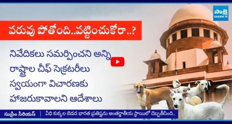 Supreme Court Serious On Stray Dogs Control 1