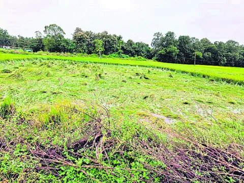 జాగ్రత్తలే శ్రీరామరక్ష