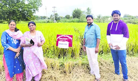 చిరుసంచుల ‘వరిసాగుతో’ లాభాలు