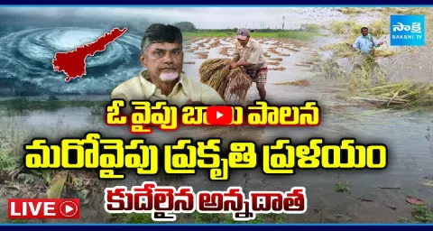 Farmers Crushed By Chandrababu Failure Govt And Nature  1