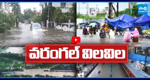 Heavy Rain Leads To Floods In Hanmakonda Warangal And Mahabubabad 5