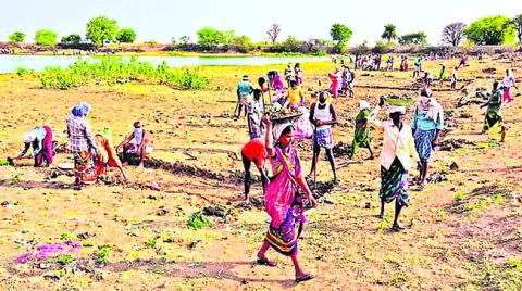 ఉపాధి అక్రమాలకు చెక్