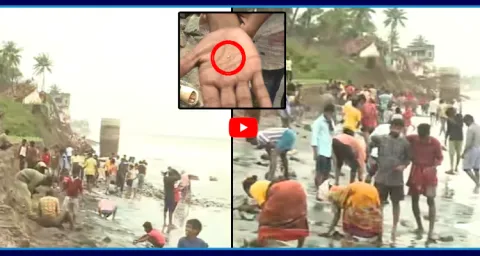 Gold Washed Up From The Sea Due To Montha Cyclone Effect 1