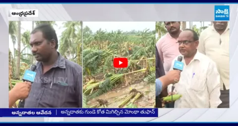Cyclone Montha Effect Huge Crops Damaged Due To Heavy Rain 3