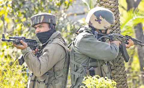 Security forces gain control over the forest with camp strategy