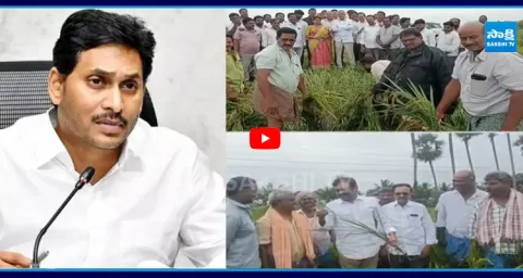 YS Jagan To Hold Teleconference With YSRCP Leaders 4