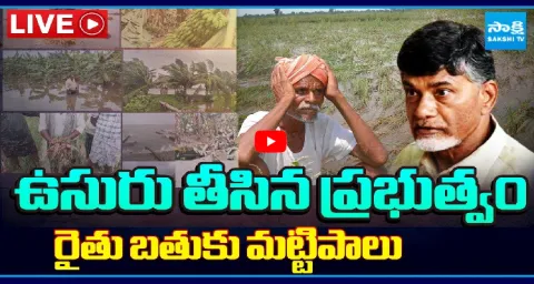 Chandrababu Govt Negligence On Farmers Crop Damage 2