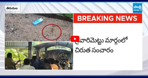 Leopard Roaming At Tirumala Steps Way 2