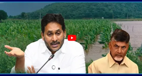 YS Jagan Fire On Chandrababu Over Farmers Problem 2