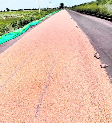 కష్టాలే పెట్టుబడి.. నష్టాలే దిగుబడి!